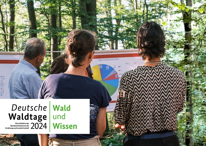 Entdecken, lernen, erleben bei den Deutschen Waldtagen 2024 / Deutschlandweite Veranstaltungen vom 13. bis 15. September zum Thema Wald und Wissen