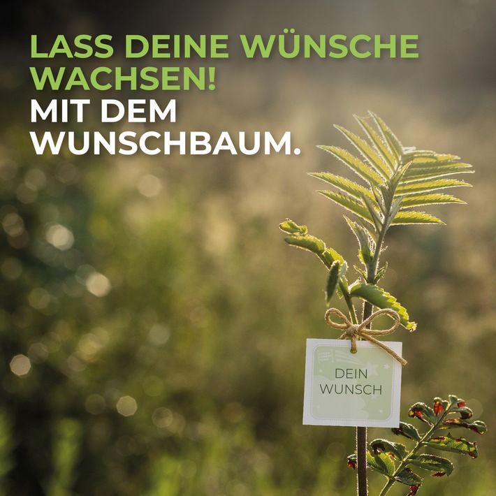 Wisches Come Wild / Green Forest Fund lässt Wünsche Wurzeln schlagen