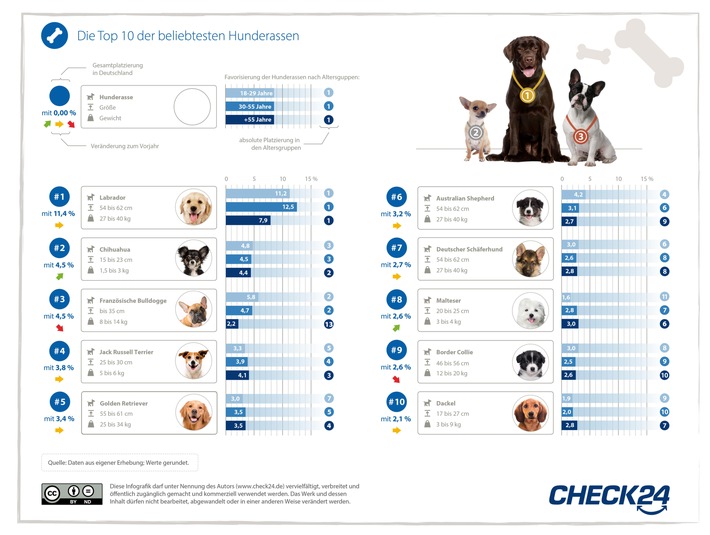 Beliebteste Hunderassen: Labrador sichert sich erneut den ersten Platz