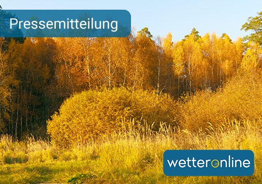 Goldener Oktober  - Darum ist das Licht so magisch