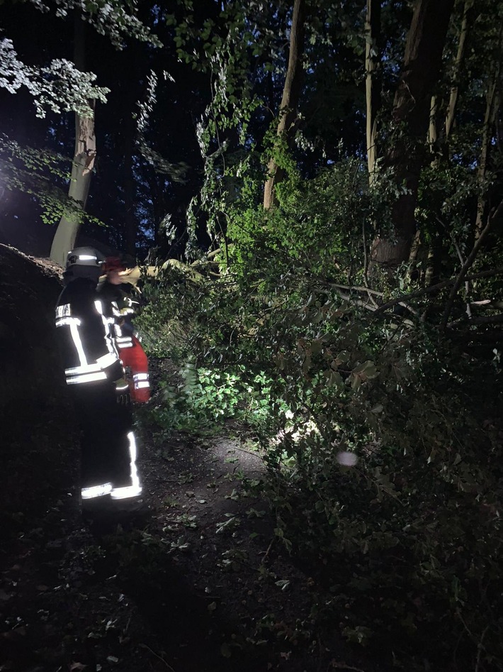 FW-EN: Wetter - Brandmeldealarm und Gefahrenbaum am Abend sowie eine Ölspur am Morgen