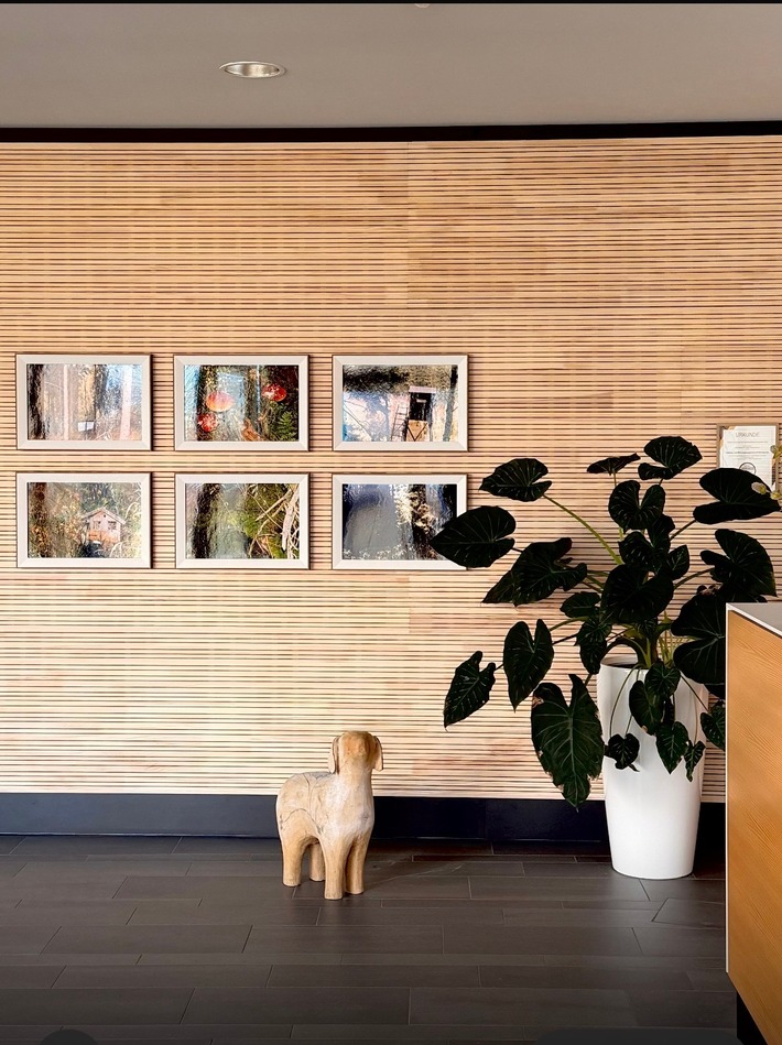 Was macht ein Weihnachtsschaf im Frühling bei der Gebäude- und Wohnungsbaugesellschaft Wernigerode mbH?