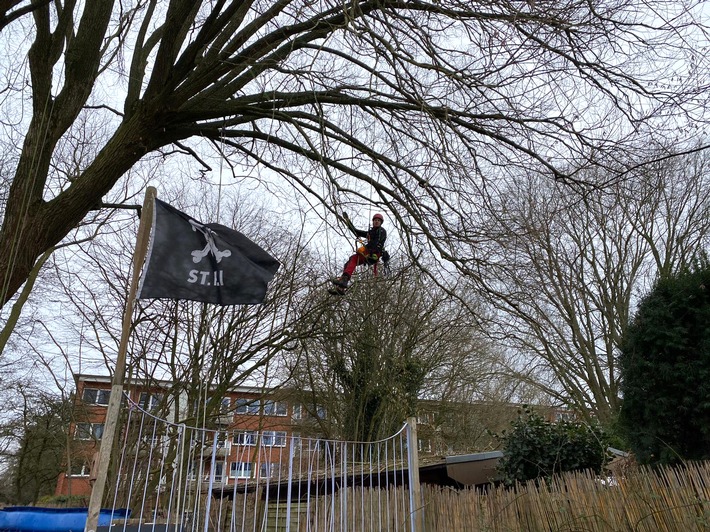 Die Baumvitalität und Verkehrssicherheit auf dem Prüfstand