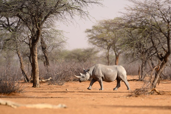Zwei ZDF-Dokus der "Terra-X-Abenteuer"-Reihe entführen nach Namibia und Vietnam