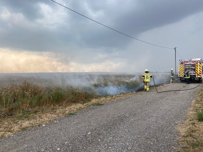 POL-PDNW: PI Grünstadt - Feldbrand nach Blitzeinschlag