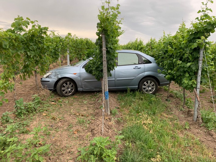 POL-PDNW: Verkehrsunfall unter Alkoholeinwirkung