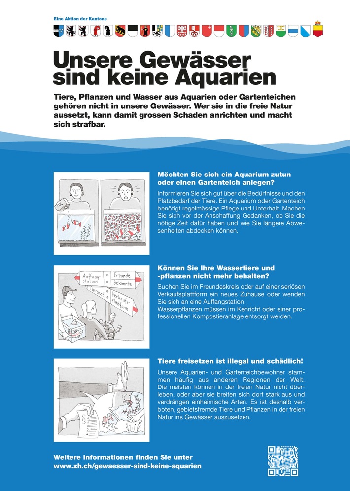 Aquarium- und Gartenteichlebewesen gehören nicht in unsere Gewässer