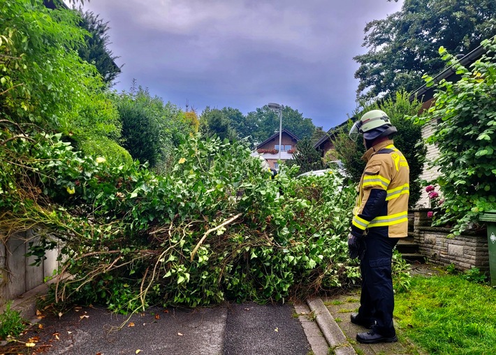 FW-EN: Mehrere Einsätze am Wochenende: Baum im Narzissenweg und angebliches Feuer im Gebäude