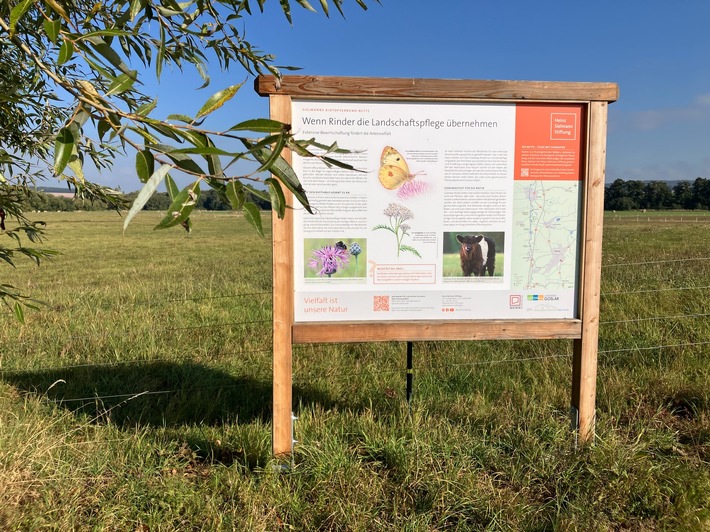 PM Neue Infotafeln entlang der Nette aufgestellt