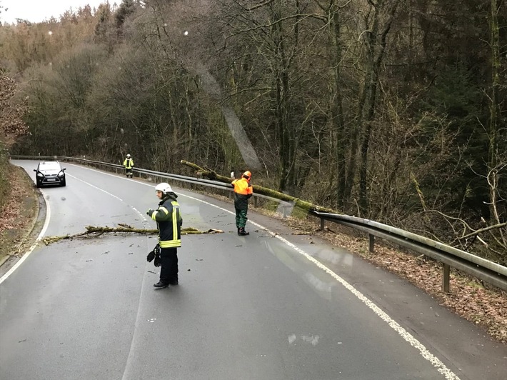 FW-EN: Baum hängt über Fahrbahn