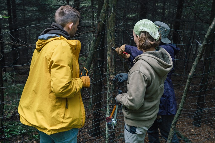 Freiwilliges Engagement für einen naturnahen Wald: das Bergwaldprojekt e.V. in Oberhof