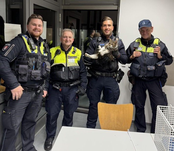 BPOL-HH: Katze im Hamburger Hauptbahnhof ganz alleine unterwegs - Bundespolizei übergibt Katze an Tierheim
