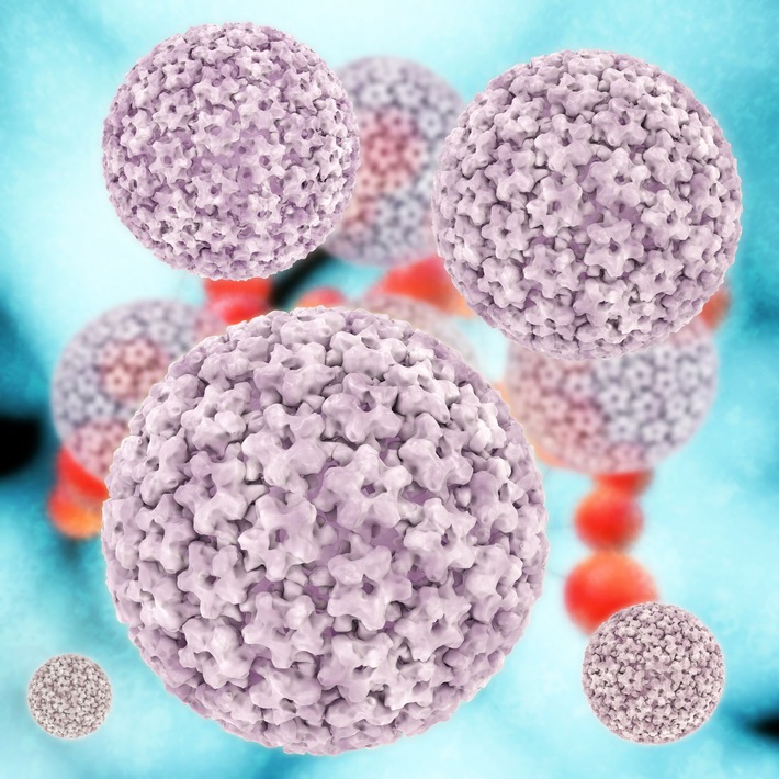 Neue Erhebung in Europa, inklusive Schweiz, zeigt deutliche Unterschiede im öffentlichen Bewusstsein und Wissen um das Humane Papillomavirus (HPV)