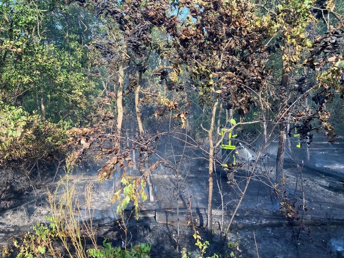 FW-F: Waldbrand am Bahnhof Stadion