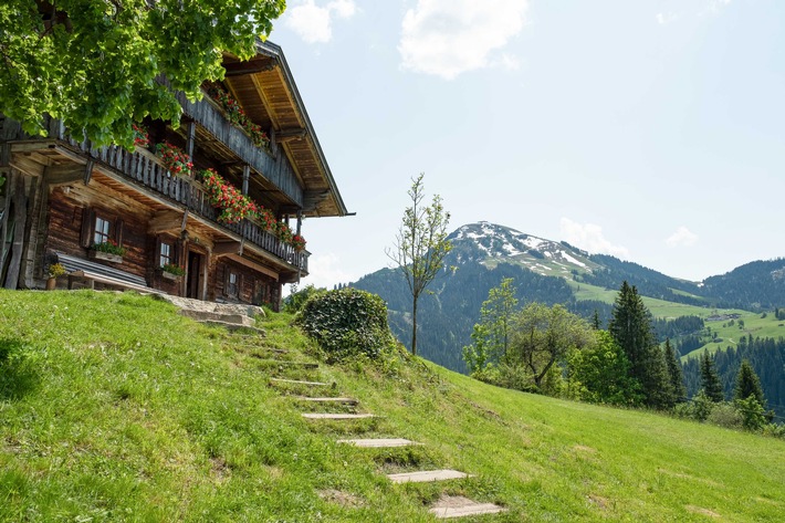 Zuhause beim Bergdoktor - Doku im ZDF