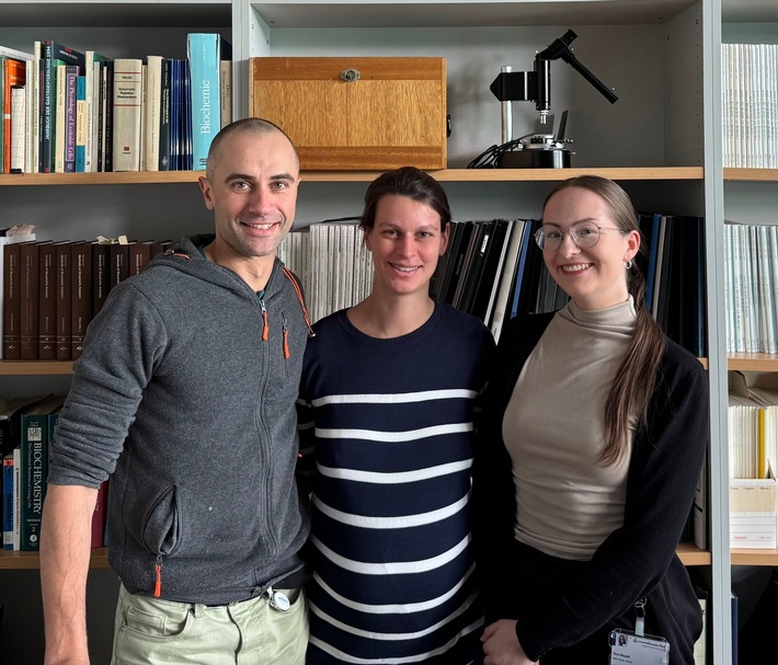 Hantaviren: Einfluss auf die Zellarchitektur