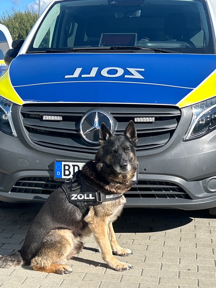 HZA-HST: "Naturseife im Postverkehr? Das stinkt gewaltig" ./. Stralsunder Zoll entdeckt größere Menge Cannabis und Khat in einem Postpaket