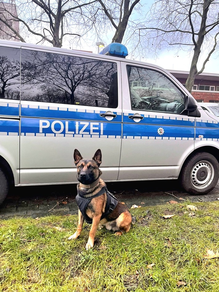 POL-DO: Polizei nimmt Gerüstdieb auf einem Schrottplatz fest