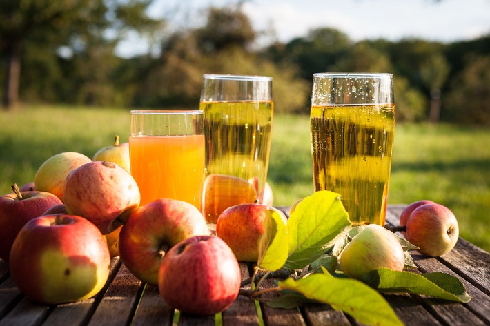 Fruchtsaftverband spricht sich für Senkung der Mehrwertsteuer auch auf Saft aus