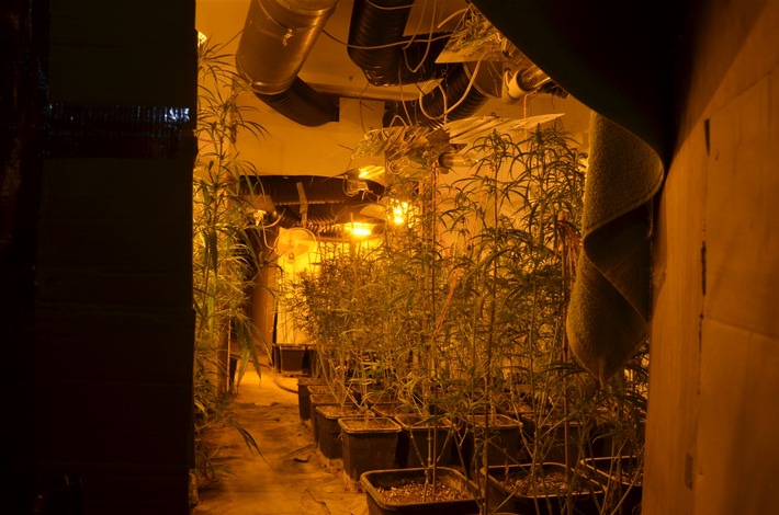 POL-NE: Drogenplantage in unbewohntem Einfamilienhaus entdeckt