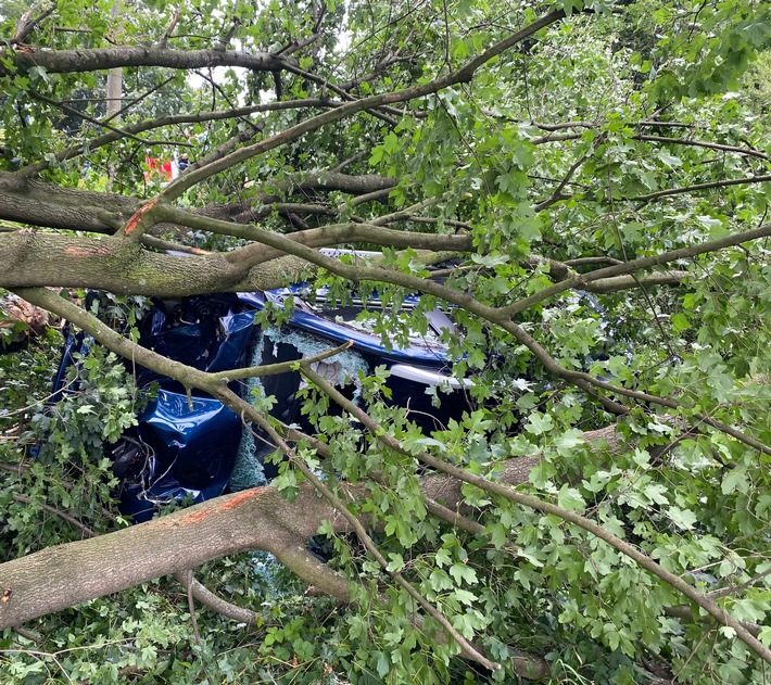 FW Dinslaken: Person im Auto unter Baum eingeklemmt