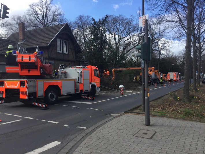 FW-BN: Feuerwehr rückt mit Kran zu Sturmschaden in die Bonner Nordstadt aus.
