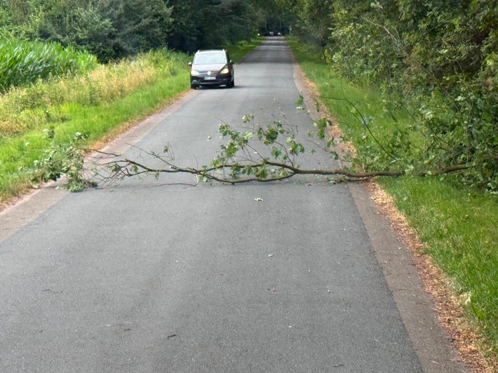 FW Hünxe: Baum auf Fahrbahn