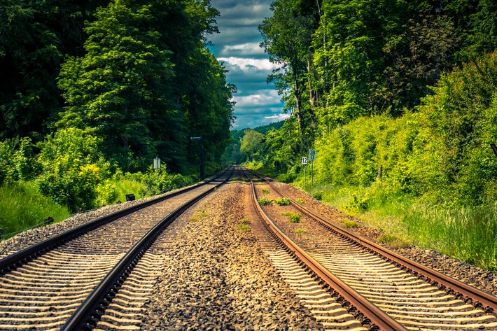 Sturmschäden: Bund deutscher Baumschulen mahnt standortgerechte Gehölzpflanzung an Bahnstrecken an