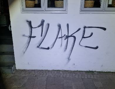 POL-FL: Flensburg - Grafitti-Sprüherin auf frischer Tat festgenommen