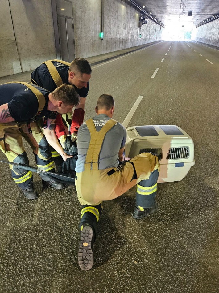 FW Stuttgart: Entenfamilie von Feuerwehr gerettet