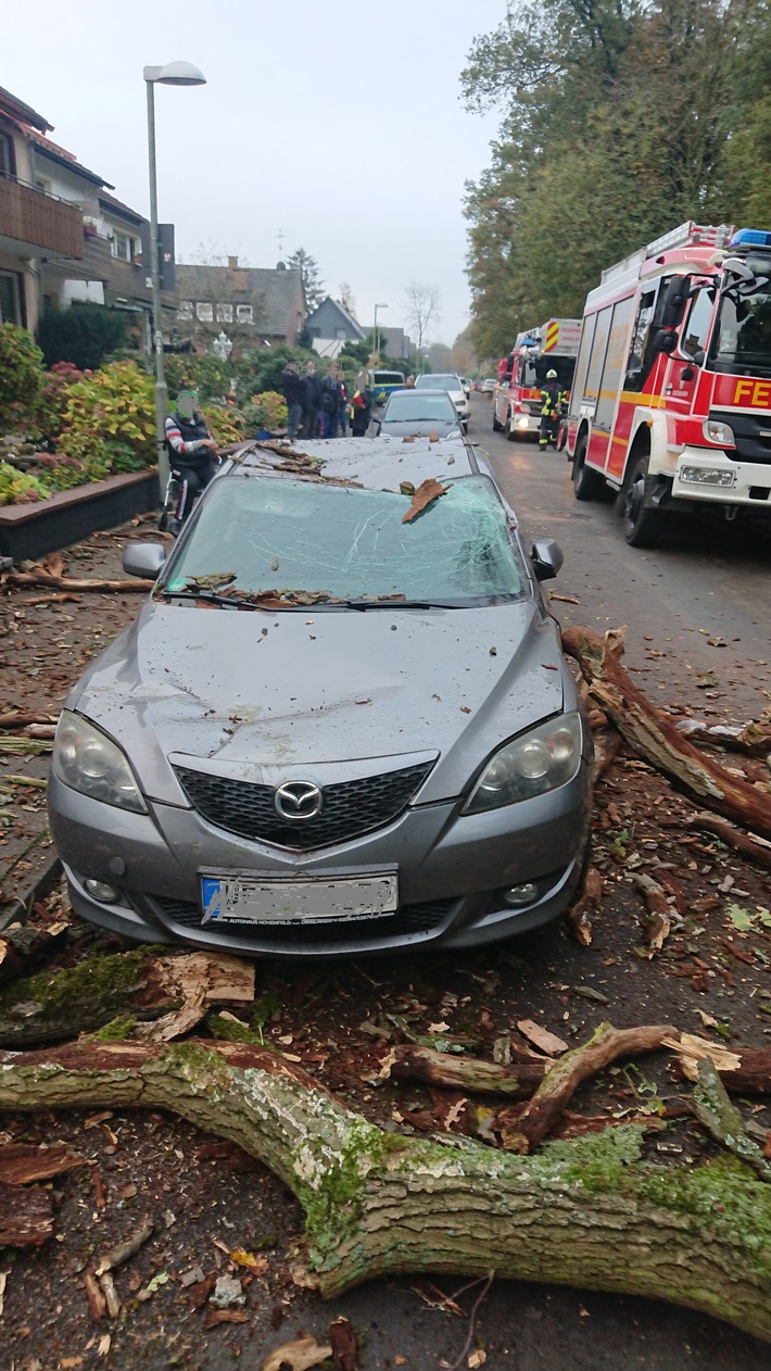 FW Dinslaken: Baum stürzte auf geparkten PKW