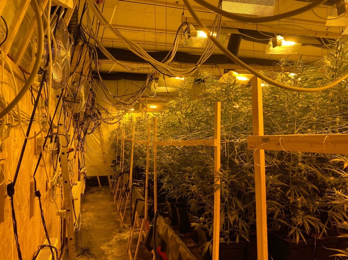 POL-LG: Professionelle Marihuana-Plantage in Bleckede entdeckt