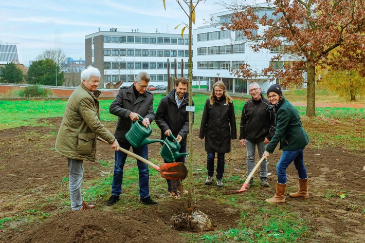 „Essbarer Campus“ der Universität Osnabrück erhält Zuwachs -  Heimische Bäume im Rahmen der Aktion "1.000 Bäume für Osnabrück" gepflanzt