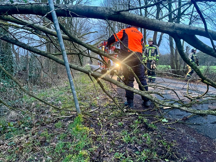 FW Hünxe: Sturmschaden auf dem Hardtbergweg