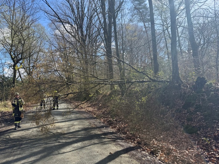 FW Hünxe: Baum blockiert Fahrbahn