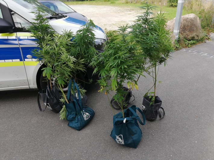 BPOL NRW: Bundespolizei hebt Cannabisplantage an Bahndamm aus