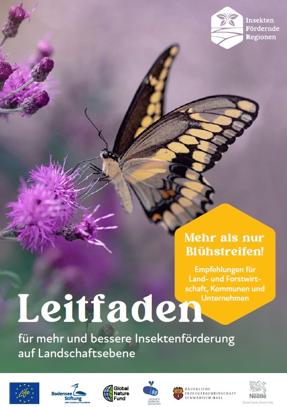 Blühstreifen alleine reichen nicht:  Leitfaden für mehr und bessere Insektenförderung auf Landschaftsebene