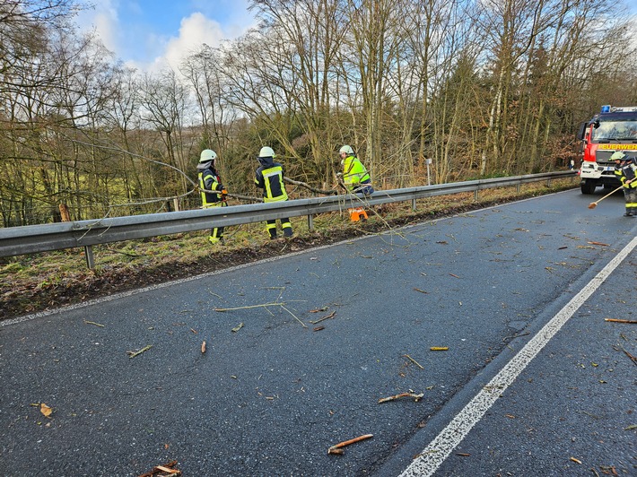 FW-EN: Baum auf Fahrbahn