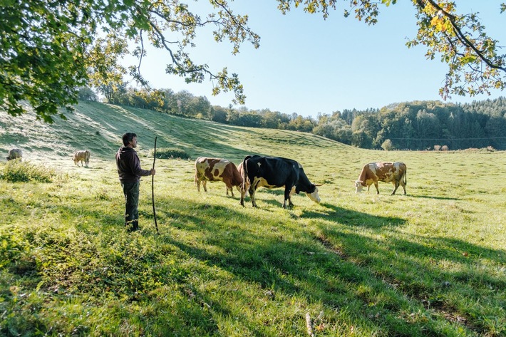 Andechser Natur Bio-Milchbauern sind auch "KlimaBauern" / Die Andechser Molkerei Scheitz initiiert das einzigartige Pilotprojekt mit dem Ziel der regionalen CO2-Bindung durch Humusaufbau