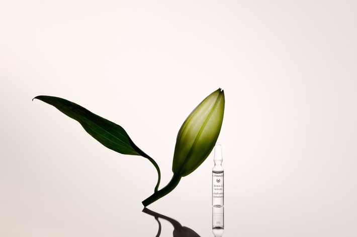 Neustart für die Haut: Die Dr. Hauschka Ampullenkuren unterstützen die nächtliche Regeneration der Haut und präsentieren sich mit neuem Design, optimierter Anwendung und reduzierter Verpackung.
