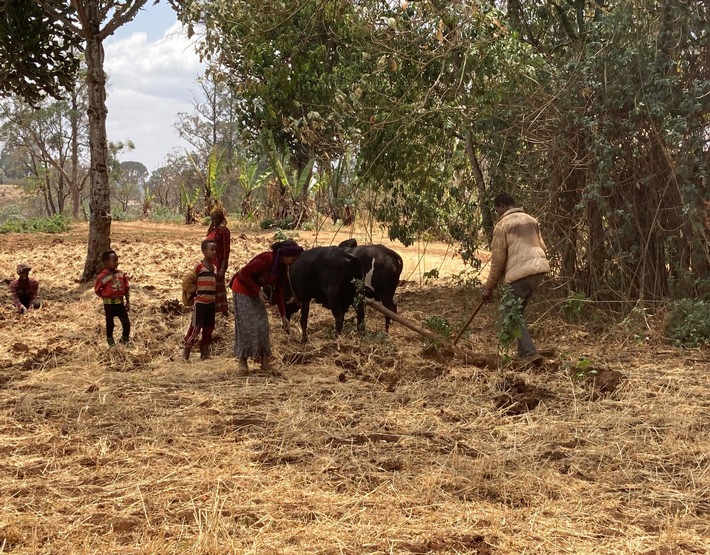 Neues Projekt für ein menschenwürdiges Leben von Kleinbauern-Familien