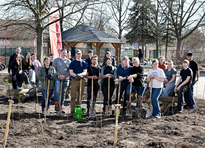 BAUHAUS pflanzt Waldinsel in Dresden