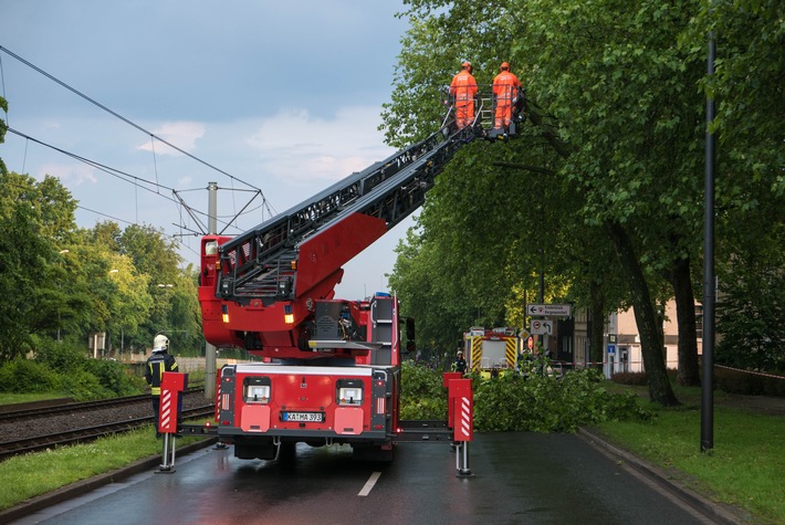 FW-GE: Baum drohte auf die Oberleitung der Straßenbahn und die Kurt-Schumacher-Straße zu stürzen