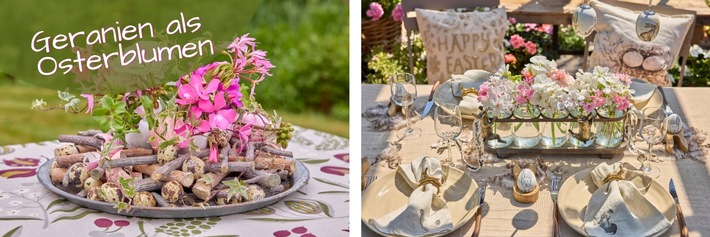 Ostern in Blüte: Blühende Dekorationsideen mit (Edel-)Geranien