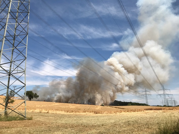 POL-PPWP: Flächenbrand hinterm Monte Mare - Landesforsten und Polizei warnen vor erhöhter Waldbrandgefahr