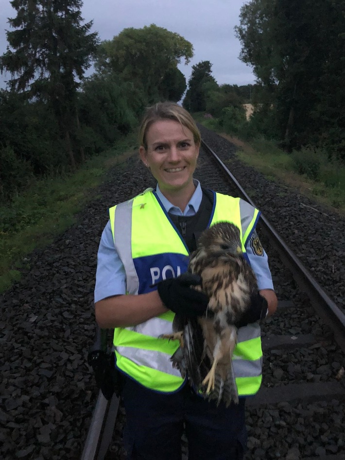 BPOL NRW: Bundespolizei rückt zum Rettungseinsatz aus, Greifvogel in den Bahngleisen