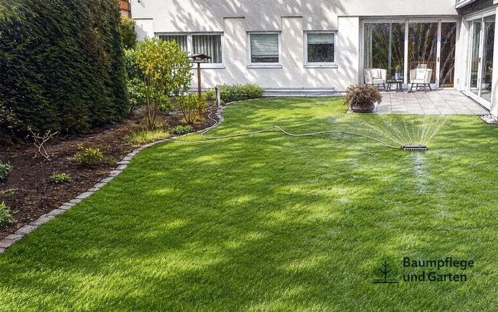 Frisches Grün im Garten: So wächst Fertigrasen richtig an