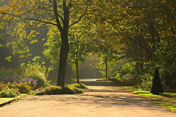 Berlin setzt mit Klimaanpassungsgesetz wichtiges Zeichen für mehr Stadtgrün