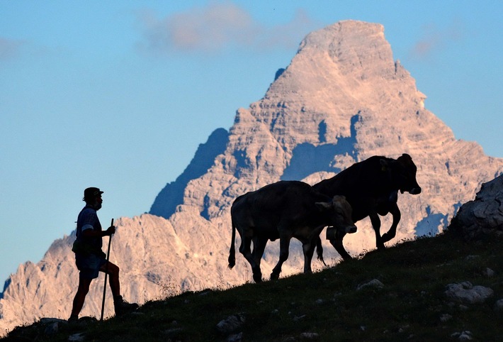 Heimatfest „Hindelôngar Alpzît“ am 18. Juni mit Genussmeile, Melkkuh und Live-Musik