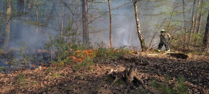 FW Lüchow-Dannenberg: Erster größerer Waldbrand in Nordost-Niedersachsen in diesem Jahr +++ Passant entdeckt Rauchwolke von der anderen Elbseite aus +++ Löscharbeiten beschäftigten über 70 ehrenamtliche Einsatzkräfte